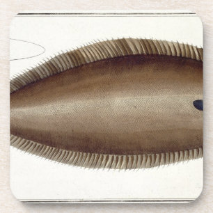 Posavasos Única (Solea Solaea) placa XLV de Dover de