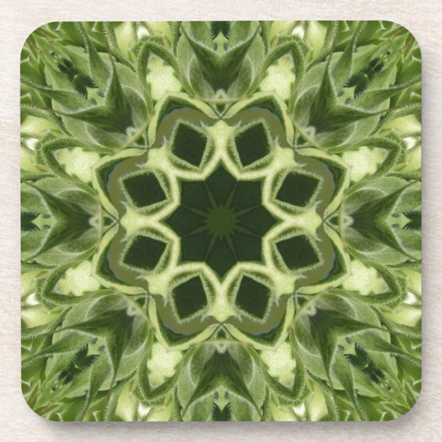 Posavasos Unopened Sunflower (Frente)