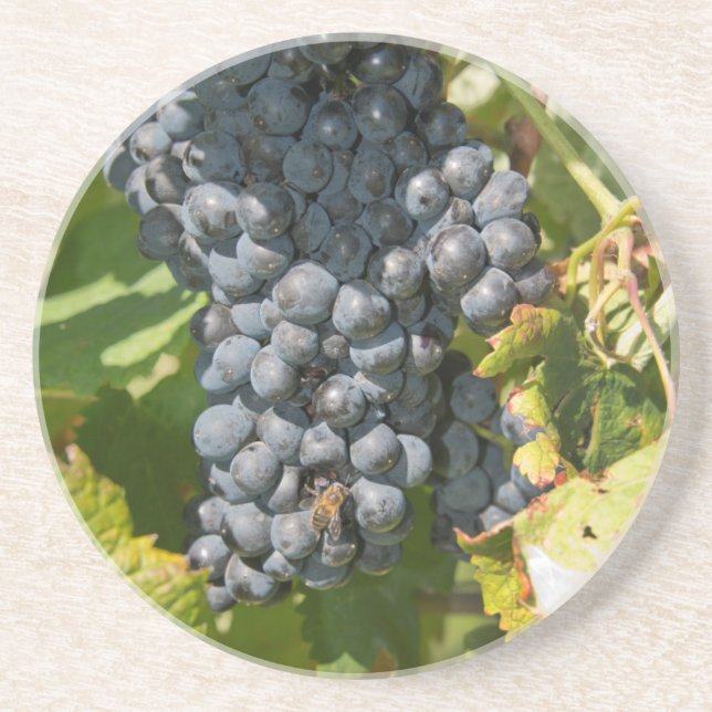 Posavasos Uruguay, Montevideo, Zona de Colón. Bodegas (Frente)