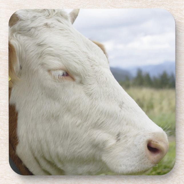 Posavasos ¿Vaca de Brown con una muestra en ella? oído de s (Frente)