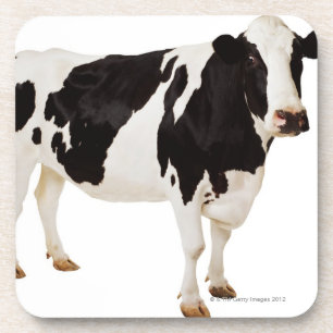 Posavasos Vaca de Holstein (tauro del Bos)