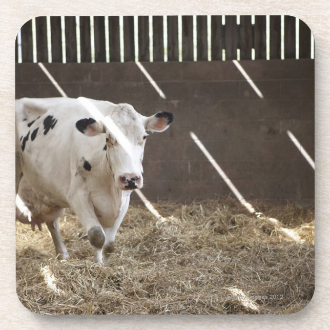 Posavasos Vaca lechera (Frente)