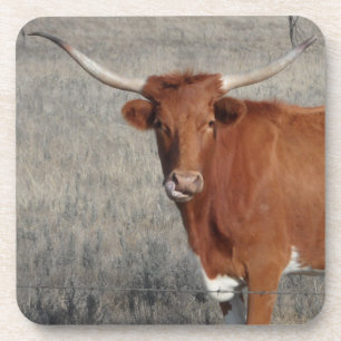 Posavasos Vaca Longhorn Licuando su Nariz