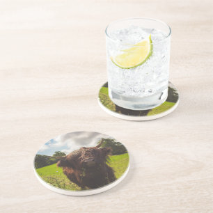 Posavasos Vaca negra de tierras altas pastoreando verde luz 