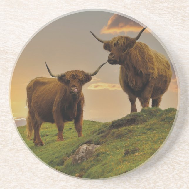 Posavasos Vacas de la región montañosa al atardecer (Frente)