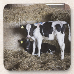 Posavasos Vacas en el granero 3
