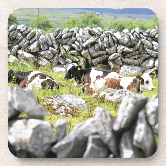 Posavasos Vacas moo (Frente)