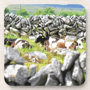 Posavasos Vacas que mugen
