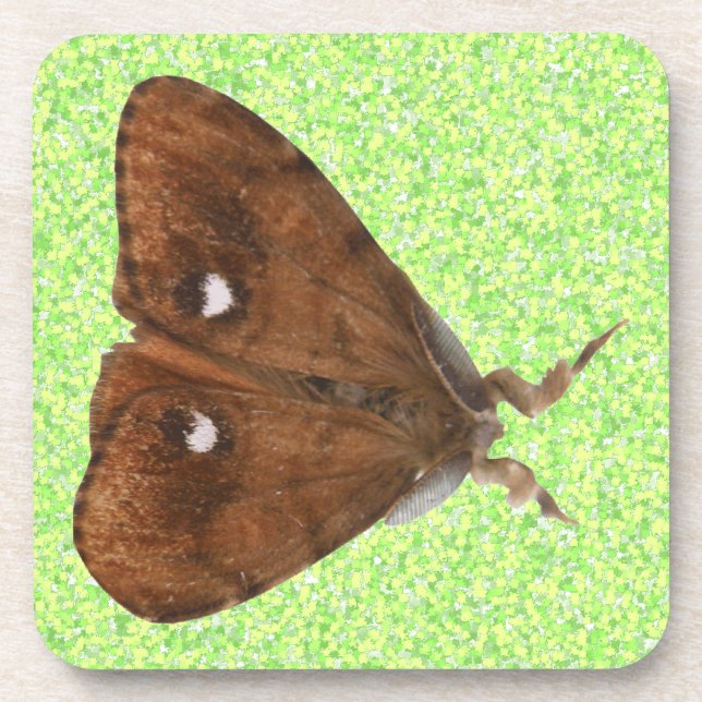 Posavasos Vapourer Moth Cork Coaster (Frente)