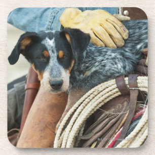 Posavasos Vaquero y perro en caballo