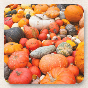 Posavasos Variedad de calabaza a la venta, Alemania