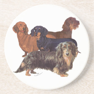 Posavasos Variedades de Dachshund