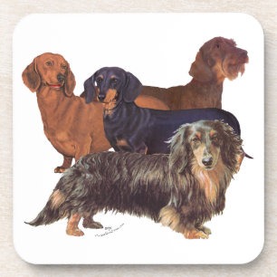 Posavasos Variedades de Dachshund