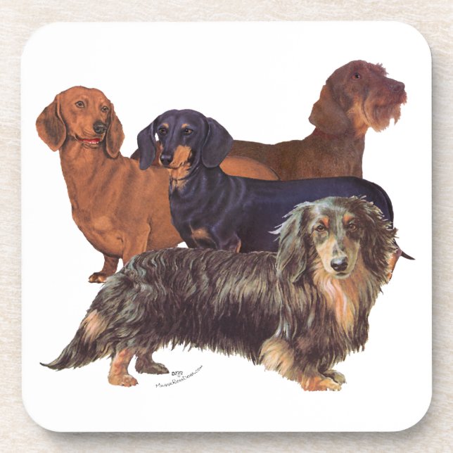 Posavasos Variedades de Dachshund (Frente)