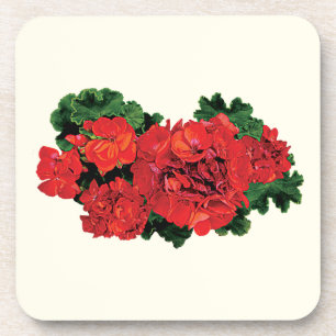 Posavasos Varios geranios rojos