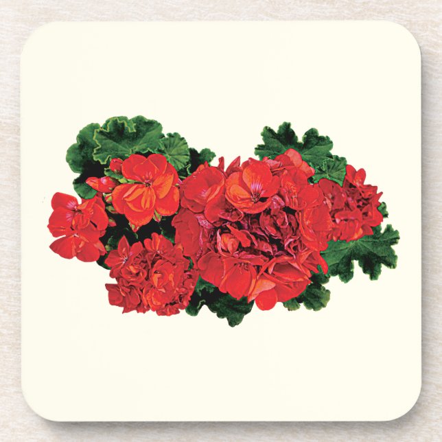 Posavasos Varios geranios rojos (Frente)