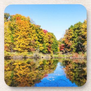 Posavasos Vassar Farms Pond