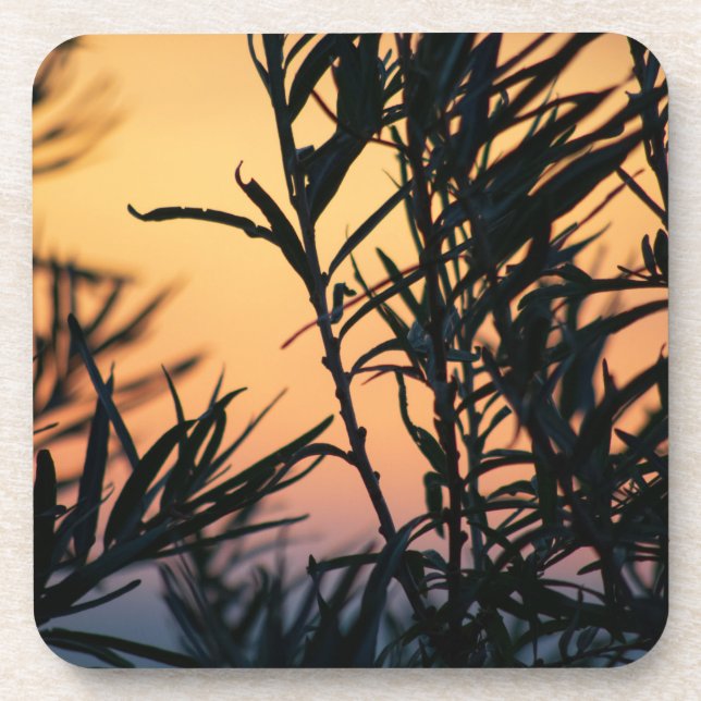 Posavasos Vegetación al atardecer (Frente)