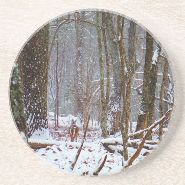 Posavasos venado de cola blanca en la nieve (Frente)