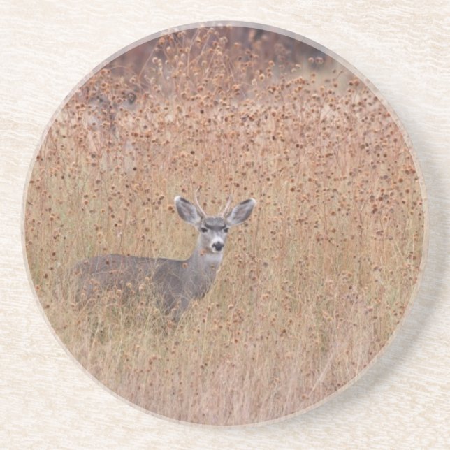 Posavasos Venado en la pradera (Frente)