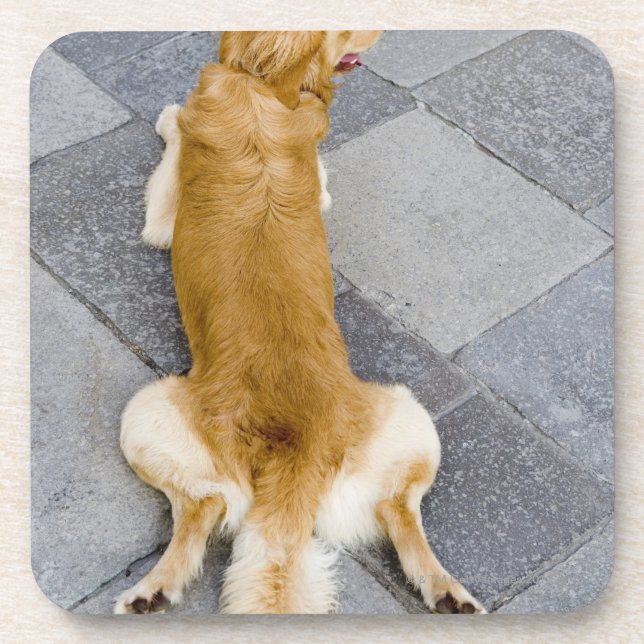 Posavasos Venecia, Italia (Frente)