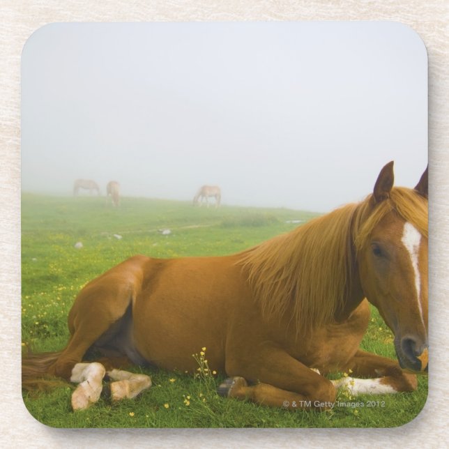 Posavasos Véneto Italia 2 (Frente)