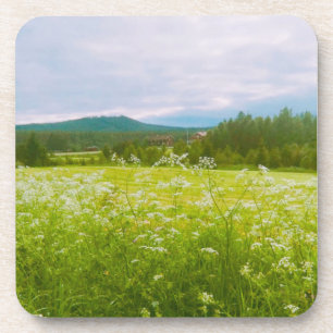 Posavasos Verano en Hälsingland - Helsingia