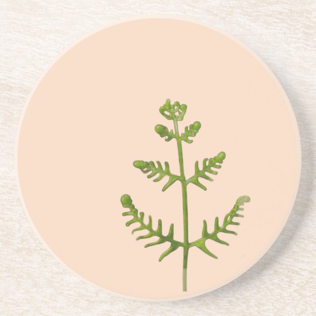 Posavasos verde primavera (Frente)