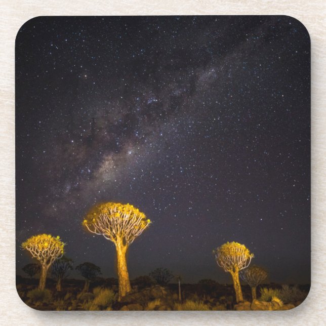 Posavasos Vía Láctea Quiver Tree | Keetmanshoop Namibia (Frente)