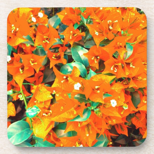 Posavasos Vibrantes Flores de Buganvilla Naranja (Frente)