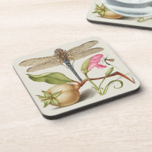Posavasos Vida de jardín, libélula, pera, clavel e insecto