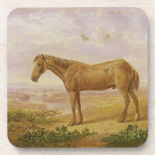 Posavasos Viejo Billy, un caballo de proyecto, envejecido 62