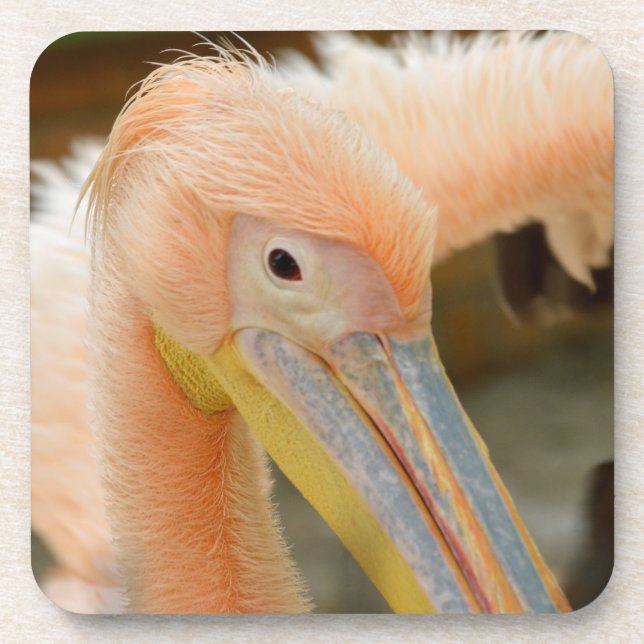 Posavasos Viendo La Montaña De Corcho Pelican (Frente)