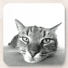 Posavasos Vigilando el gato