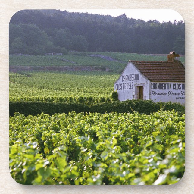 Posavasos viñedo Chambertin Clos de Beze Grand Cru con (Frente)