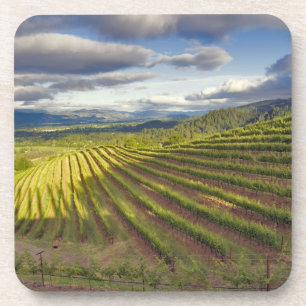 Posavasos Viñedo. Valle de Napa. Napa. Condado de Napa,