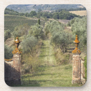 Posavasos Viñedos, Toscana, Italia