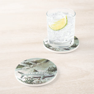 Posavasos Vintage Bonefish Underwater Scene