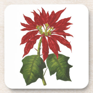 Posavasos Vintage Christmas, Red Poinsettia WinPlanta