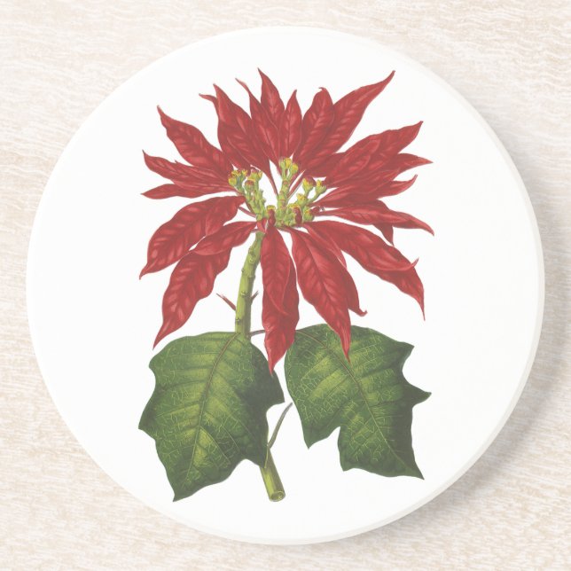 Posavasos Vintage Christmas, Red Poinsettia WinPlanta (Frente)