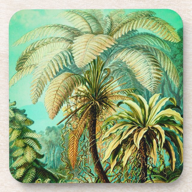 Posavasos Vintage Ernst Haeckel Botanical Palms Coaster (Frente)
