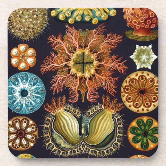Posavasos Vintage Haeckel (Frente)