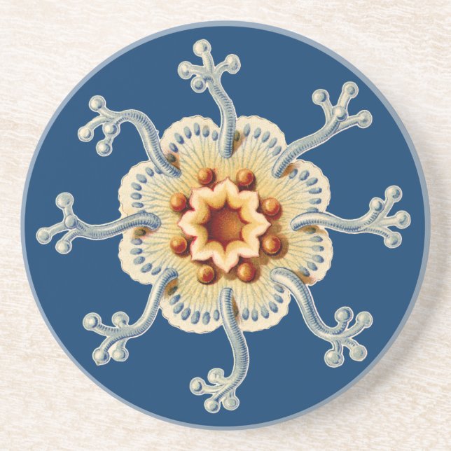 Posavasos Vintage Haeckel (Frente)