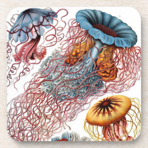 Posavasos Vintage Haeckel