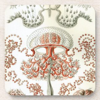 Posavasos Vintage Haeckel