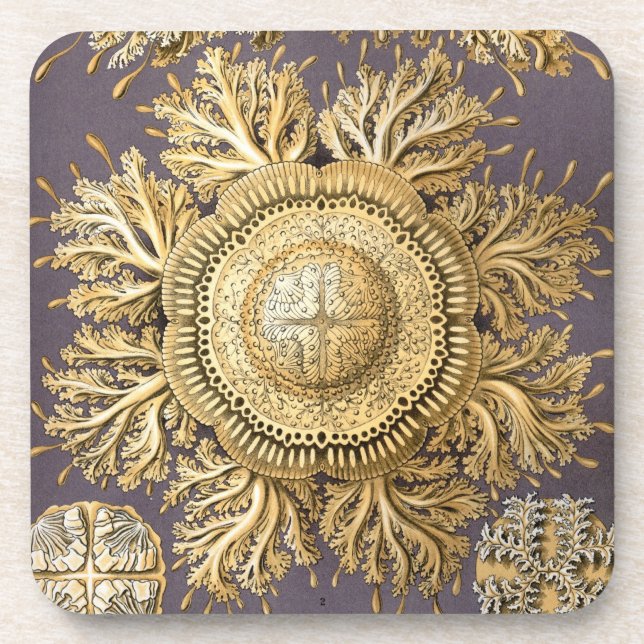Posavasos Vintage Haeckel (Frente)