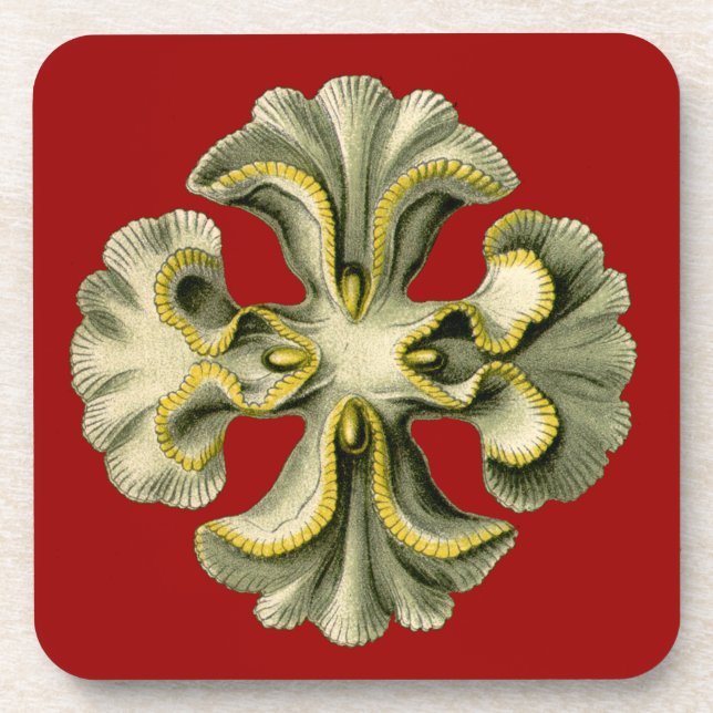 Posavasos Vintage Haeckel (Frente)