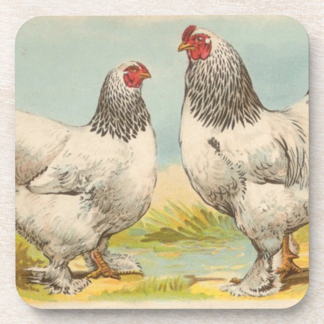 Posavasos Vintage "Light Brahama Chicken" (Frente)