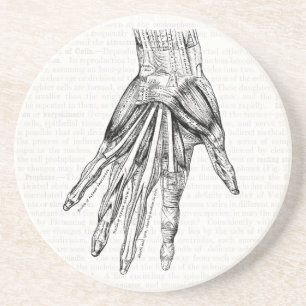 Posavasos Vintage Músculos de dibujo médico de la mano