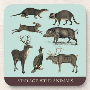 Posavasos Vintage Wild Animals Plastic Coaster Set
